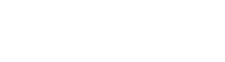 Alipay Logo White